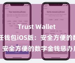 Trust Wallet NFT功能 信任钱包iOS版：安全方便的数字金钱惩办用具