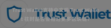 Trust Wallet支持中文吗 Trust Wallet 往时是否会相沿更多区块链？