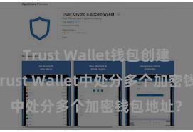 Trust Wallet钱包创建 如安在Trust Wallet中处分多个加密钱包地址？