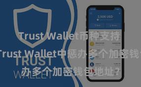 Trust Wallet币种支持 如安在Trust Wallet中惩办多个加密钱包地址？