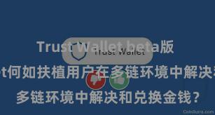 Trust Wallet beta版 Trust Wallet何如扶植用户在多链环境中解决和兑换金钱？