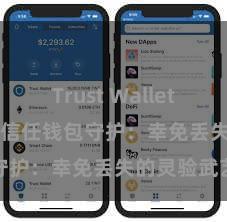 Trust Wallet USDT存储 信任钱包守护：幸免丢失的灵验武艺