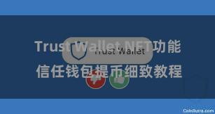 Trust Wallet NFT功能 信任钱包提币细致教程